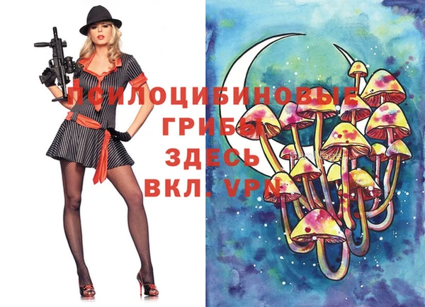 молекула духа Абинск