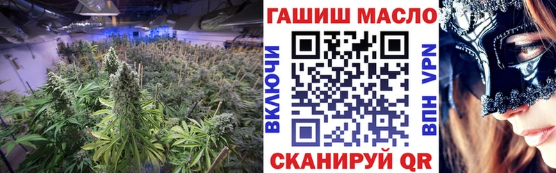 ТГК концентрат  Кедровый 