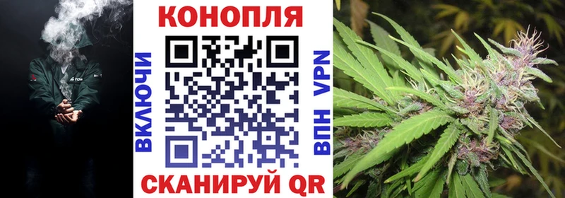 Каннабис гибрид Кедровый